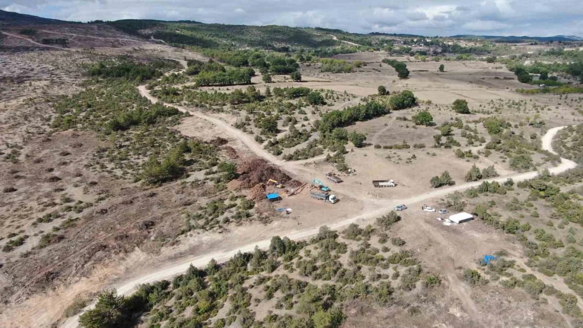 Kastamonu’nun Araç ilçesinde geçtiğimiz yıl çıkan ve 5 gün süren Orman yangınında zarar gören ağaçlar, ormanlık alandan