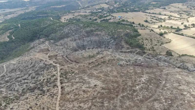 Kastamonu’nun Araç ilçesinde geçtiğimiz yıl çıkan ve 5 gün süren Orman yangınında zarar gören ağaçların kesimi yapıldıkt