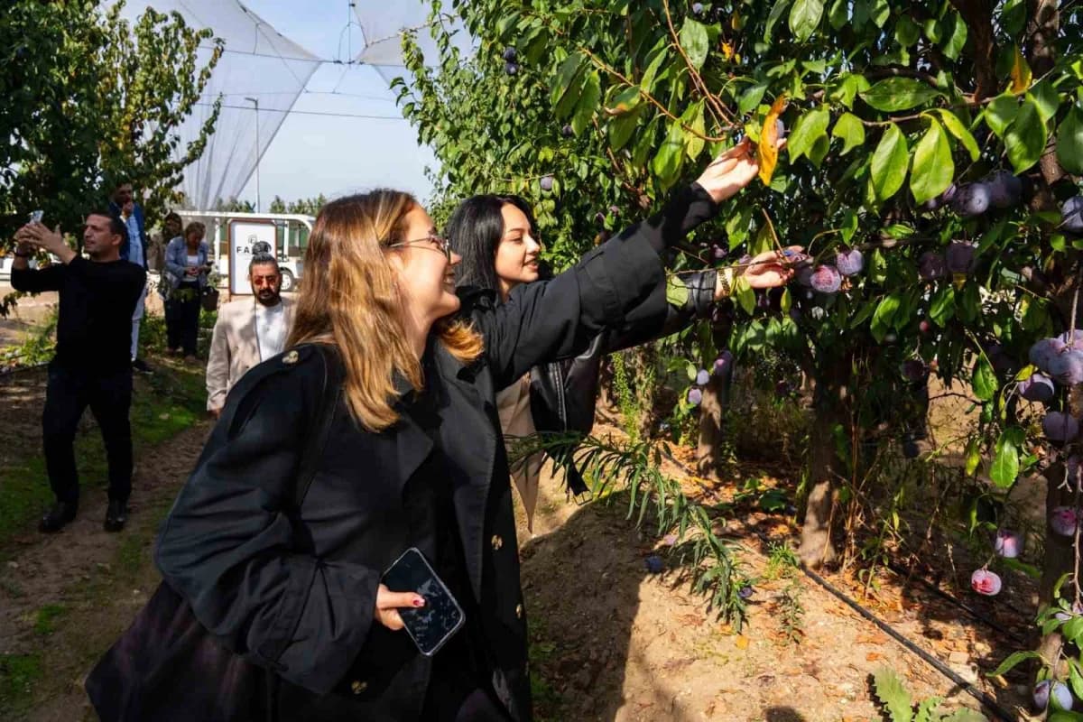 OYAK Pazarlama, HEKTAŞ f.a.r.m.'ın konaklama, toplantı ve organizasyon hizmetlerini yürüterek İznik Gölü kıyısında doğay