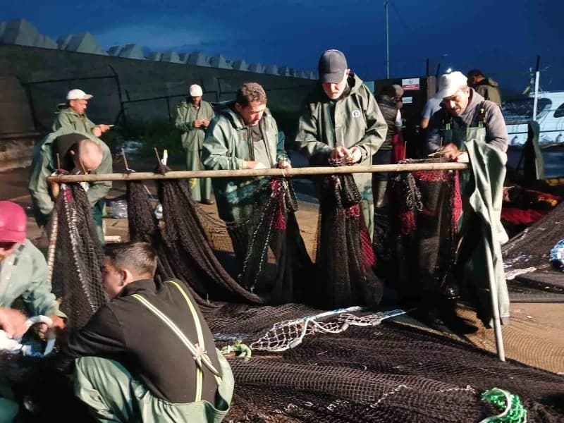 Akıntı nedeniyle zarar gören ağların tamiri için palamut avına kısa bir mola