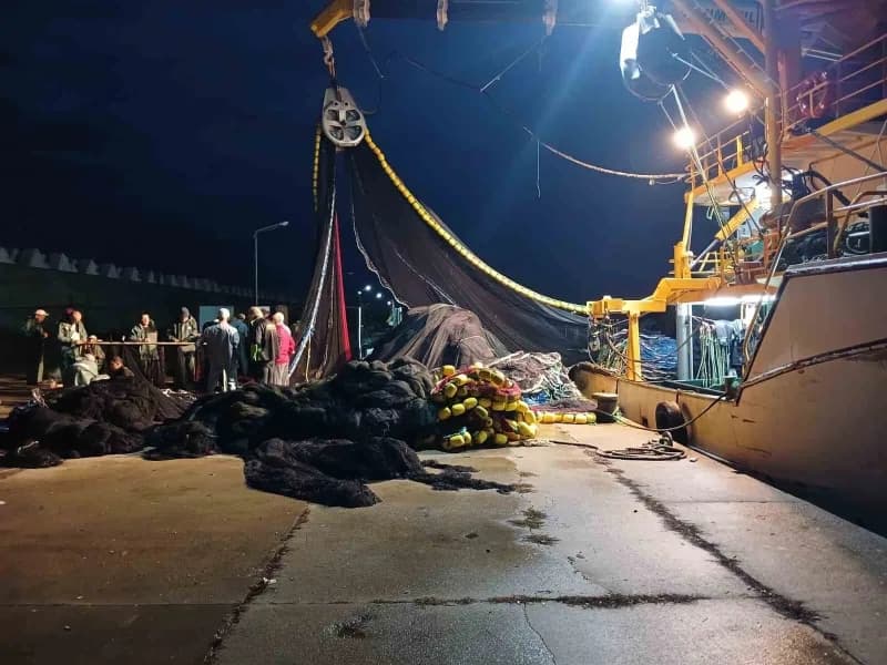 Akıntı nedeniyle zarar gören ağların tamiri için palamut avına kısa bir mola