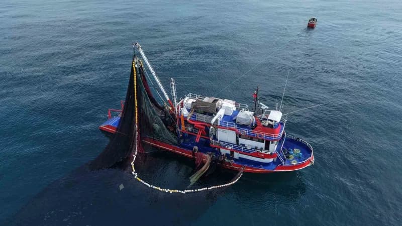 Karadeniz'de palamut bolluğu tezgahlarda fiyatları düşürürken, balıkçıların ekonomik kaygıları avcıl