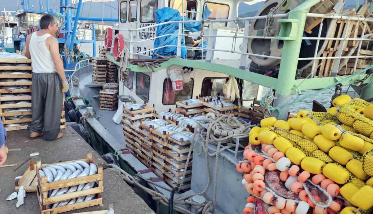Kastamonu’nun Karadeniz’e sahibi bulunan Cide ilçesinde palamut bereketi yaşanıyor. Palamut bolluğu nedeniyle kiloluk ba