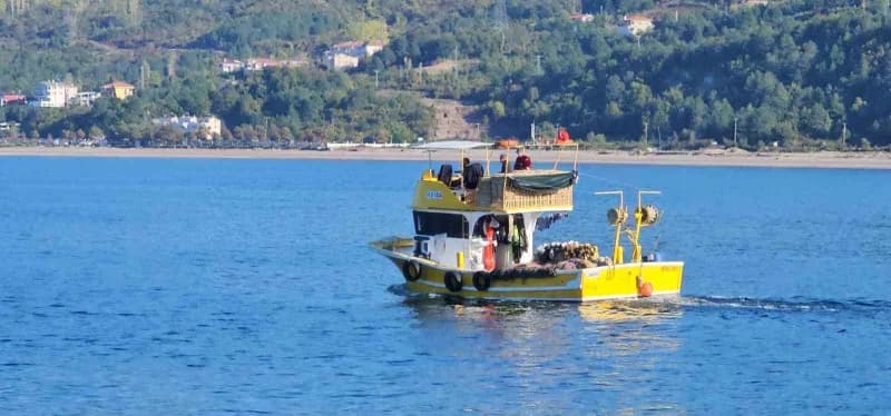 Kastamonu’nun Karadeniz’e sahibi bulunan Cide ilçesinde palamut bereketi yaşanıyor. Palamut bolluğu nedeniyle kiloluk ba