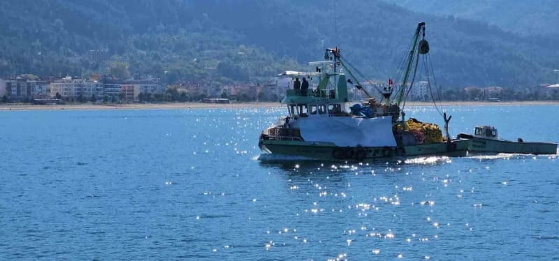 Kastamonu’nun Karadeniz’e sahibi bulunan Cide ilçesinde palamut bereketi yaşanıyor. Palamut bolluğu nedeniyle kiloluk ba