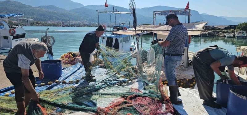 Kastamonu’nun Karadeniz’e sahibi bulunan Cide ilçesinde palamut bereketi yaşanıyor. Palamut bolluğu nedeniyle kiloluk ba