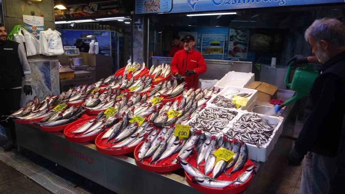 Trabzon tezgahlarında 1 kiloya kadar büyüyen ve yağlanan palamut balıkları