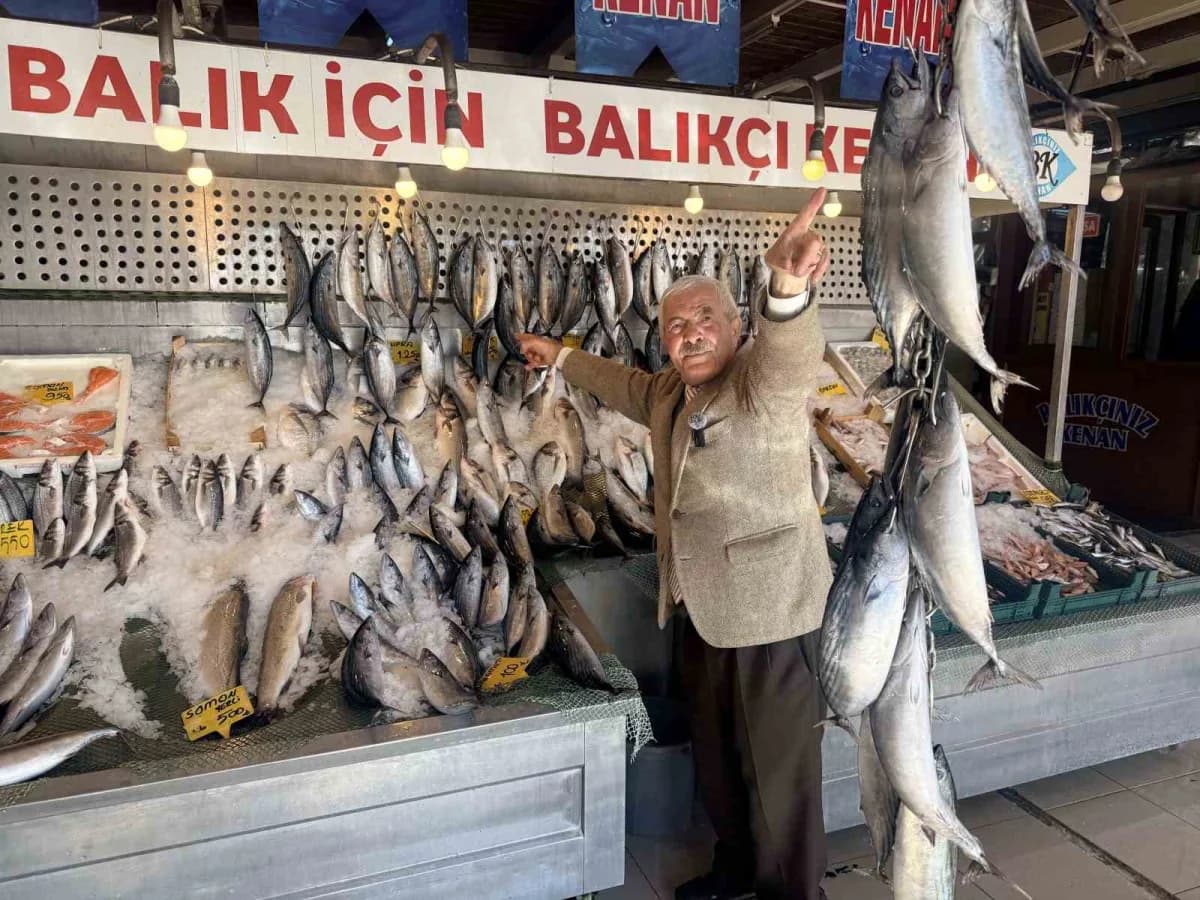 Son 25 yılın en bol Palamut sezonu yaşanıyor. Tezgahlarda Palamut bolluğu sürerken kilogram fiyatı 1