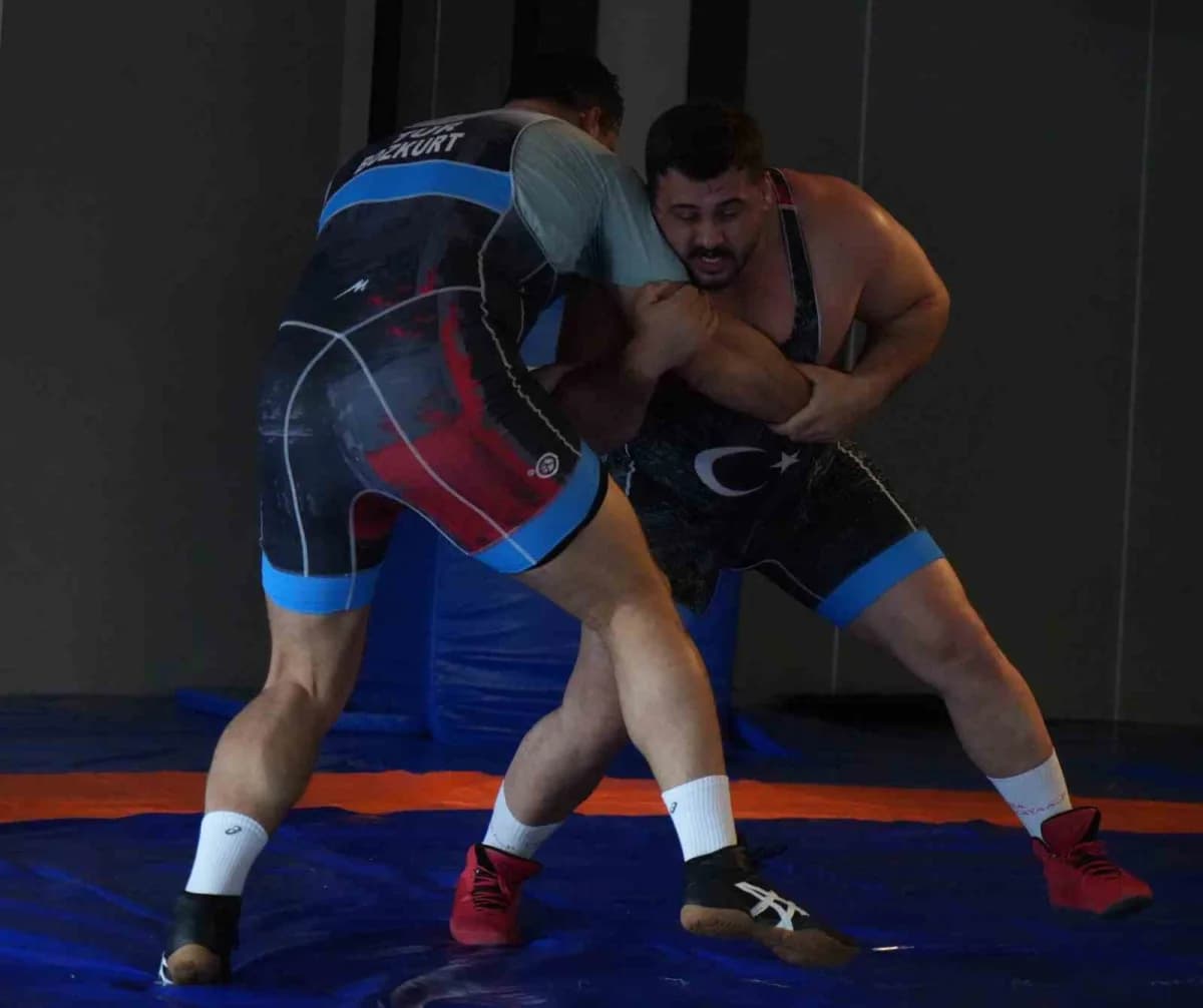 Milli güreşçi Rıza Kayaalp, olimpiyatlara kadar yapılacak organizasyonlarda şampiyonluklarına devam etmek istediğini söy