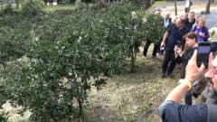 Rize’de tarladan sofraya uzanan gastronomi deneyimini simgeleyen bal, mandalina bahçesi ve çay atığı dönüşümü