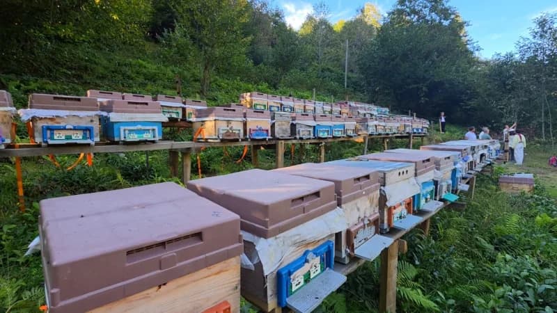 Rize'nin yeni gastronomi vizyonu; tescilli bal ve Satsuma mandalinası gibi yerel zenginlikleri Agroturizm ve sağlıklı ya