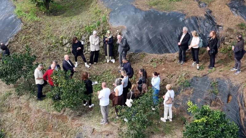 Rize'nin yeni gastronomi vizyonu; tescilli bal ve Satsuma mandalinası gibi yerel zenginlikleri Agroturizm ve sağlıklı ya