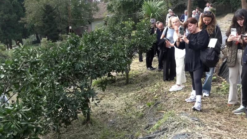 Rize'nin yeni gastronomi vizyonu; tescilli bal ve Satsuma mandalinası gibi yerel zenginlikleri Agroturizm ve sağlıklı ya