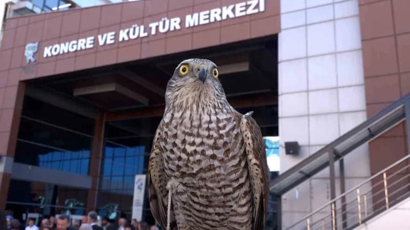 RTEÜ’de düzenlenen ‘Atmaca Şenliği’ ile Atmacacılık kültürü Rize dışından gelen öğrencilere tanıtıld