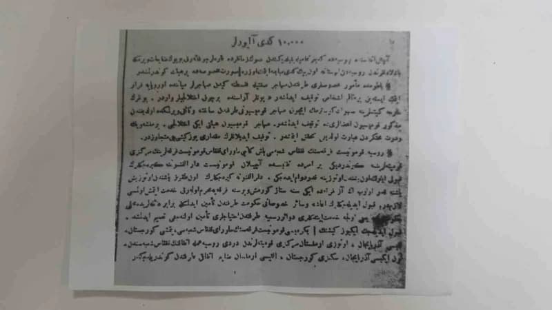 Gazetede yer alan haberde, kedilerin başta Erzurum olmak üzere Kars, Sarıkamış ve Doğu Anadolu'nun farklı bölgelerinden