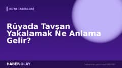 Rüyada Tavşan Yakalamak Ne Anlama Gelir?