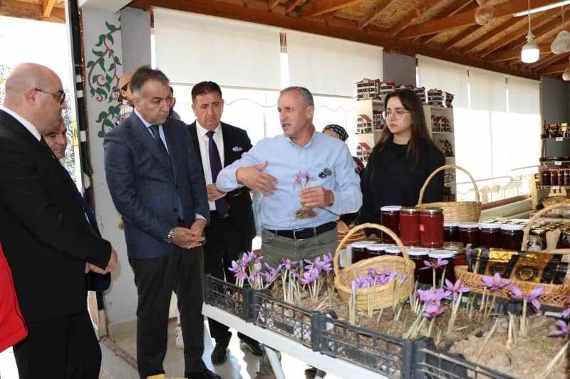 Karabük Tarım ve Orman İl Müdürlüğü tarafından geliştirilen "Kontrollü koşullarda Bilimle Yeşeren Sa