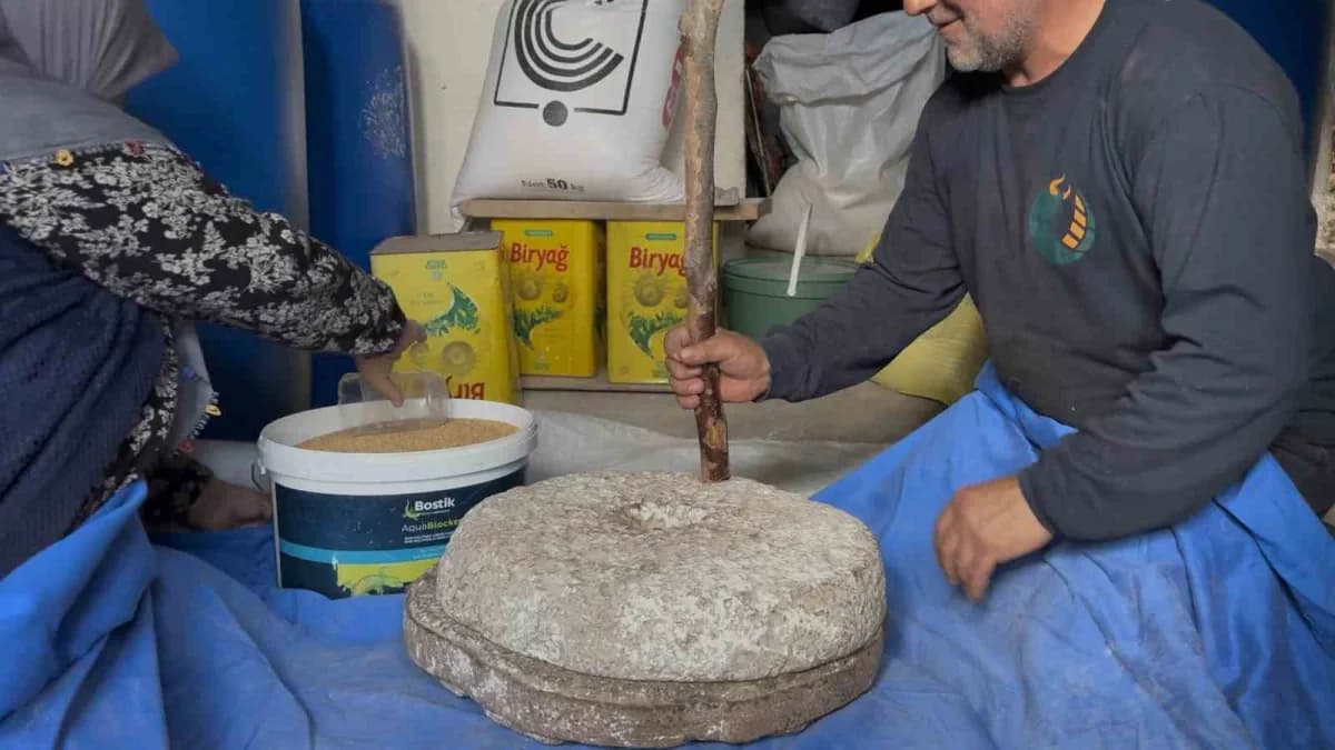 Sakarya'nın Kaynarca ilçesinde Aziz ve Vasfiye Ceylan çifti, ailelerinden miras kalan 90 yıllık darı üretimi ve öğütme g