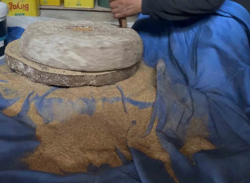 Sakarya'nın Kaynarca ilçesinde Aziz ve Vasfiye Ceylan çifti, ailelerinden miras kalan 90 yıllık darı üretimi ve öğütme g
