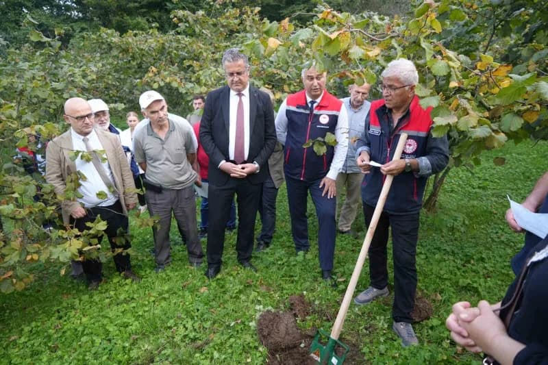 Samsun’un Atakum ilçesinde fındık üretiminde verim ve kaliteyi artırmak, üretim maliyetlerini düşürmek ve üreticilerin g