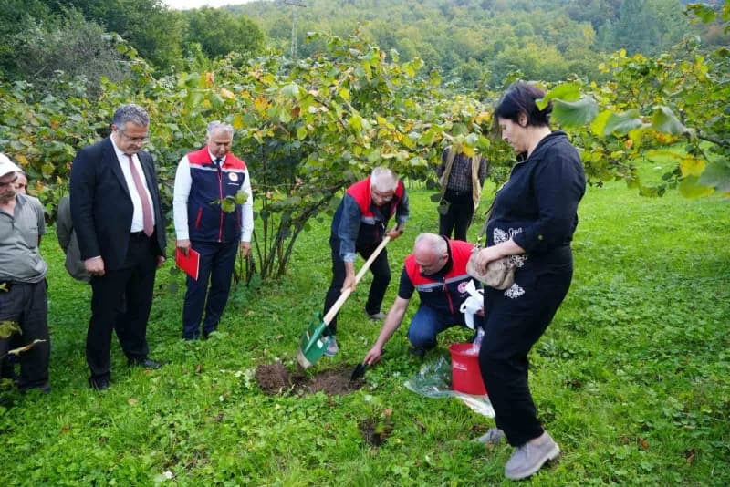 Samsun’un Atakum ilçesinde fındık üretiminde verim ve kaliteyi artırmak, üretim maliyetlerini düşürmek ve üreticilerin g
