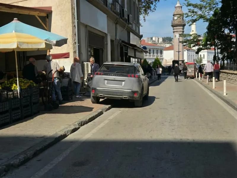 Karadeniz Doğal Hayatı Koruma Derneği, Samsun şehir merkezinde kaldırımların yayaların kullanımına açık tutulması çağrıs