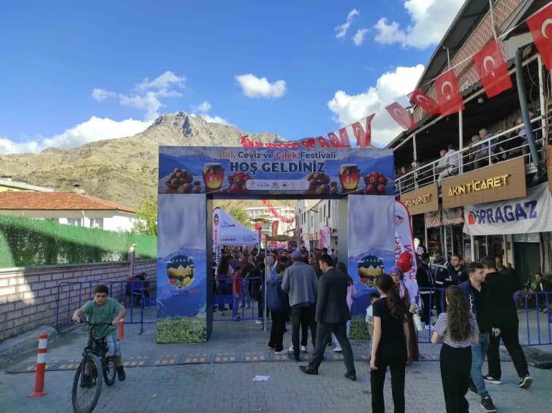 Batman'ın Sason ilçesinde bu yıl 4'üncüsü düzenlenen Bal, Ceviz, Çilek ve Festivali renkli görüntülere sahne oldu