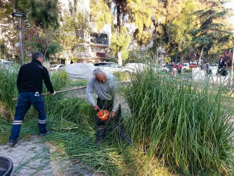 Şehzadeler Belediyesi ekipleri, vatandaş ve muhtarlardan gelen talepler doğrultusunda, ihtiyaç duyulan tüm mahallelerde