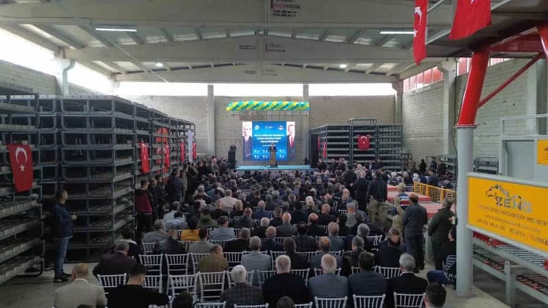 Siirt’te Cumhuriyetin 103’üncü kuruluş yıl dönümü büyük bir coşku ve gururla kutlanırken, kentin gel