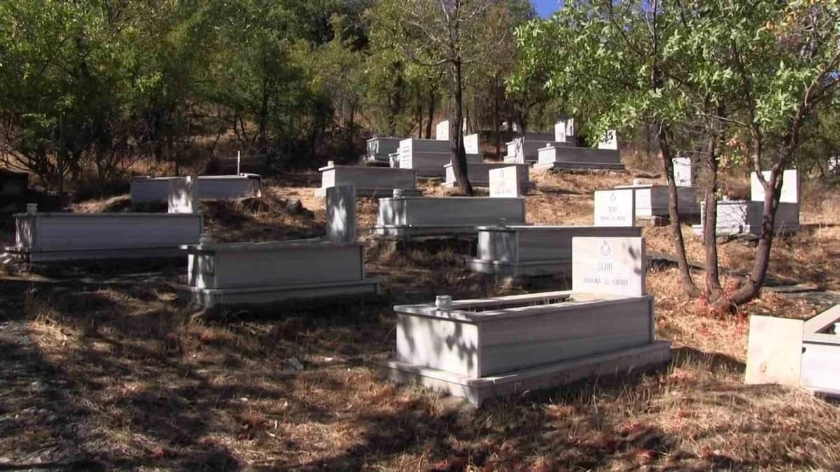 Siirt’te terör örgütü PKK'nın katlettiği 37 masum kurban törenle anıldı