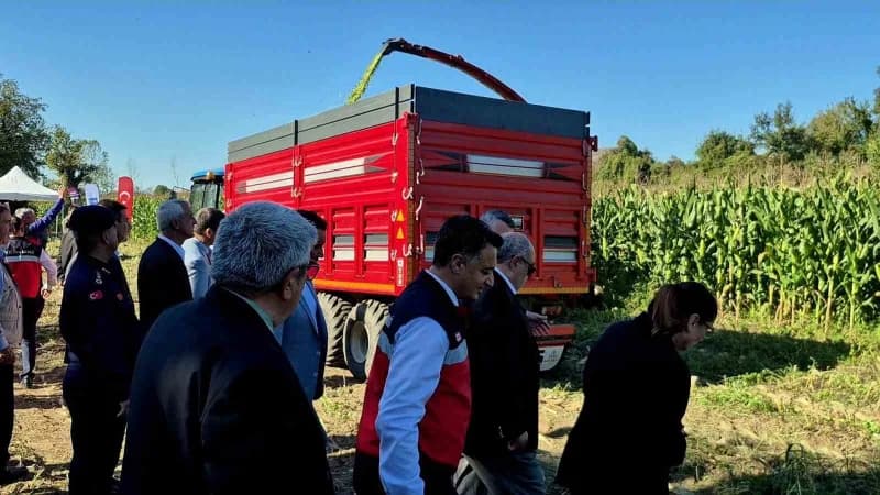 Bartın'da yaklaşık 30 bin dekar alanda ekilen ve hasadına başlanan Silajlık mısırda 120 bin ton rekolte bekleniyor.