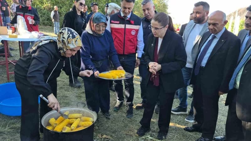 Bartın'da yaklaşık 30 bin dekar alanda ekilen ve hasadına başlanan Silajlık mısırda 120 bin ton rekolte bekleniyor.