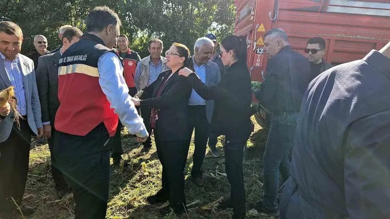 Silajlık Mısır hasadına katılan Vali Nurtaç Arslan, hasat esnasında üzerine düşen Mısır parçaları nedeniyle zor anlar ya