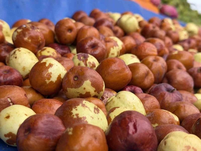 Kütahya'nın Simav ilçesinde yetiştirilen hünnap, pazar tezgâhlarında yerini aldı. Kalitesi ve aromasıyla dikkat çeken Si