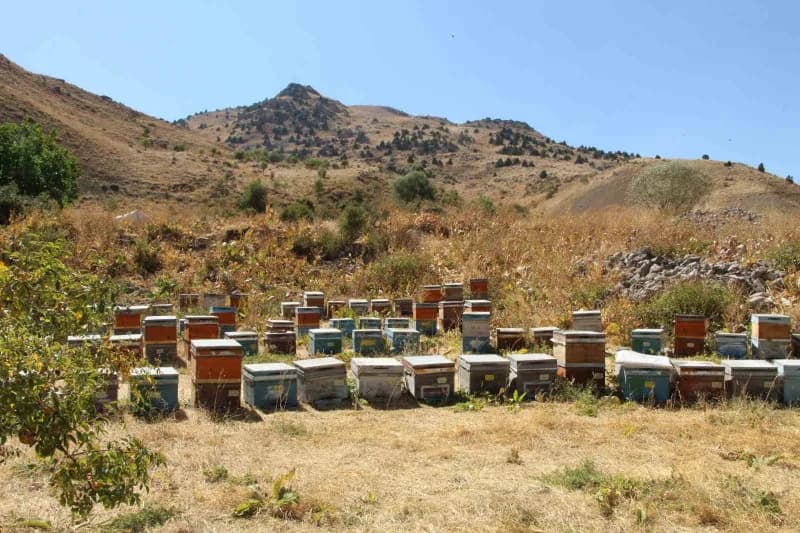 Şırnak’ın Beytüşşebap ilçesinde zorlu doğa şartlarına rağmen arıcılık yapan Enver Külter, 15 yıldır sürdürdüğü mesleğind