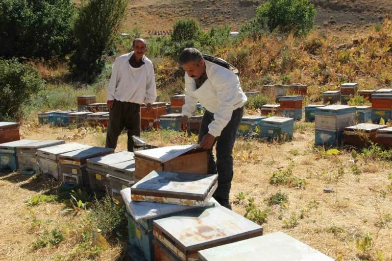 Şırnak’ın Beytüşşebap ilçesinde zorlu doğa şartlarına rağmen arıcılık yapan Enver Külter, 15 yıldır sürdürdüğü mesleğind