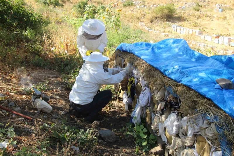 Yıllar önce modern kovanların bulunmadığı dönemlerde dahi atalarının sepetlerde arı yetiştirerek bal ürettiğini anlatan