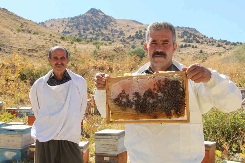 Şırnak'ın Beytüşşebap ilçesinde Kato ve Kel Mehmet dağlarının arasında, Hizil Çayı kenarında 15 yıldır arıcılık yapan En