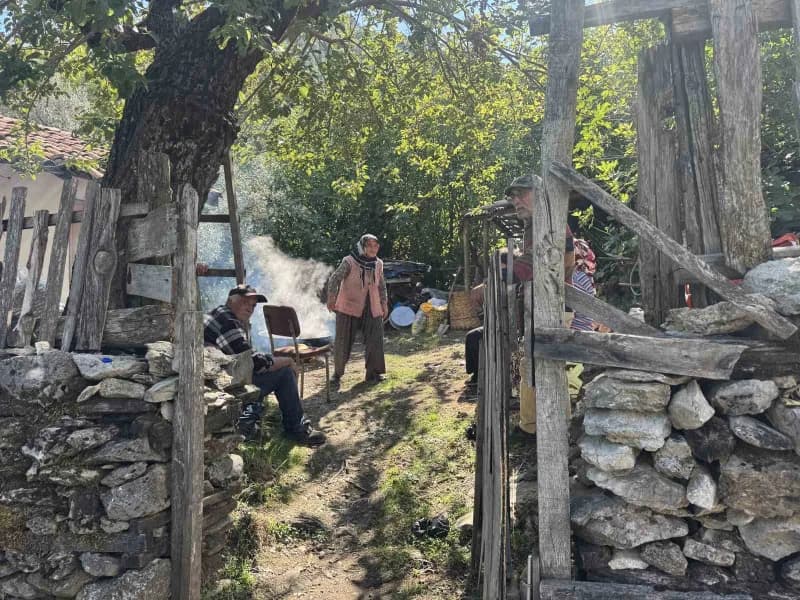 Antalya'nın Akseki ve İbradı ilçelerinin yüksek kesimlerinde yaklaşık bir ay önce başlayan geleneksel üzüm pekmezi yapım