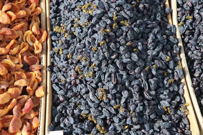 Sivas’ta yaban arıları tezgahların davetsiz misafirleri oldu