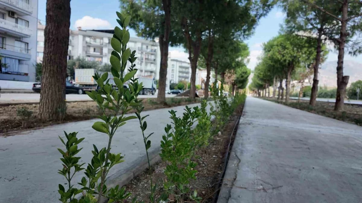 Bisiklet Yolu yeşillendi