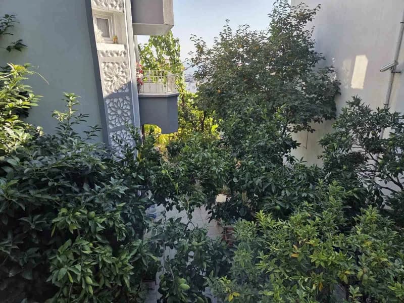 Samsun'da yaşayan 82 yaşındaki emekli öğretmen Hakkı Albayrak, üç kıta ve 50 farklı ülkeden getirdiğ