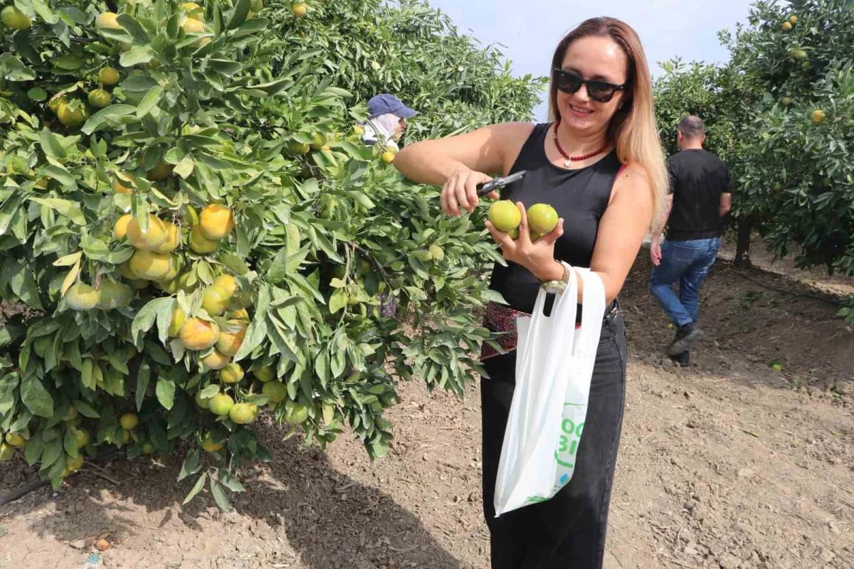 Sunar Yatırım, 10’uncu Uluslararası Adana Lezzet Festivali kapsamında Hacı Nuri Çomu Çiftliği’nde düzenlediği hasat etki