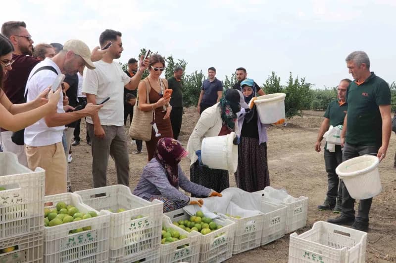 Sunar Yatırım, 10’uncu Uluslararası Adana Lezzet Festivali kapsamında Hacı Nuri Çomu Çiftliği’nde düzenlediği hasat etki