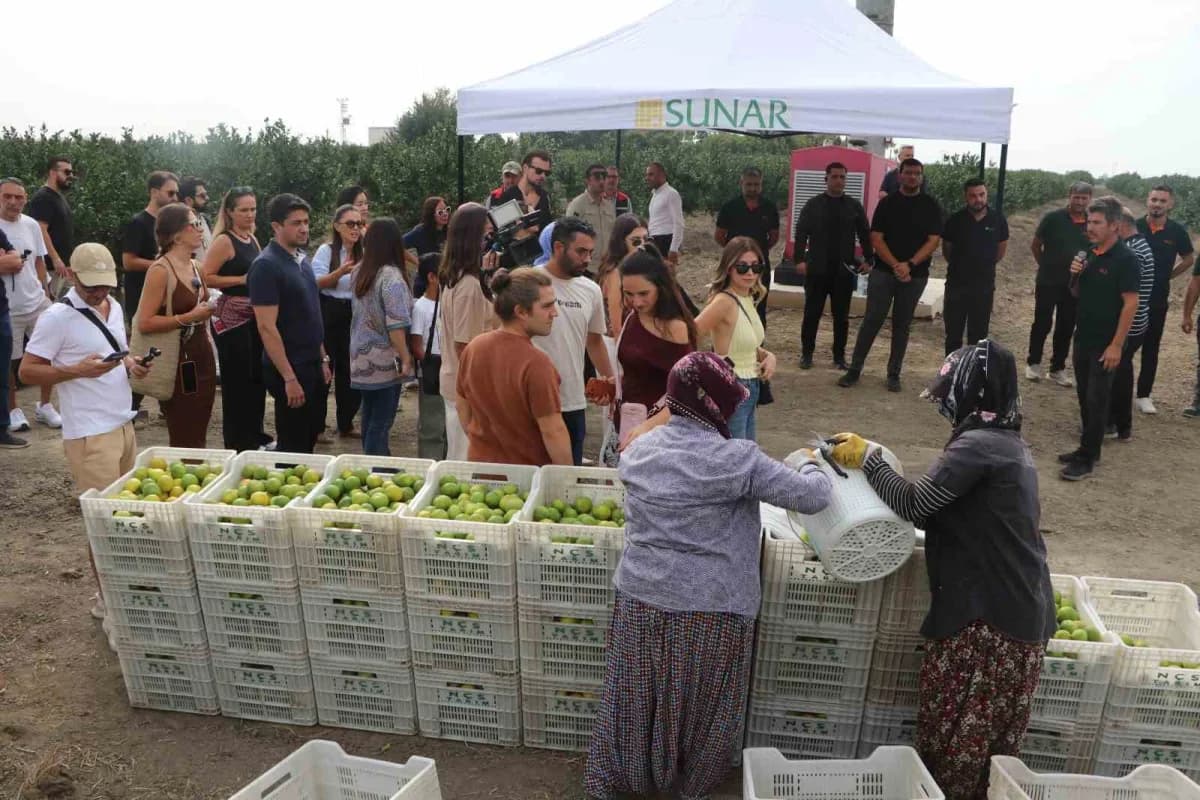 Sunar Yatırım Hacı Nuri Çomu Çiftliği’nde Adana Lezzet Festivali kapsamında düzenlenen hasat etkinliğinden bir kare