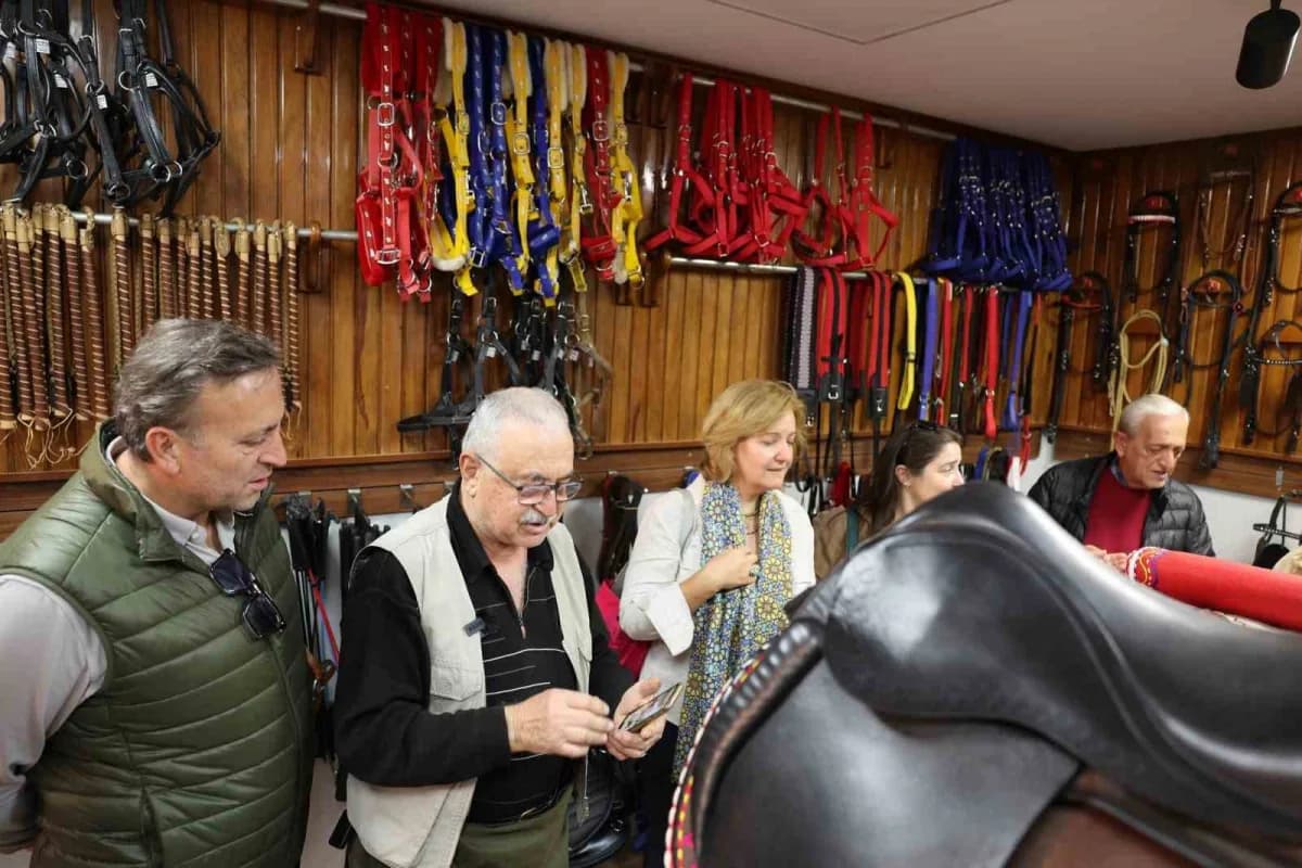 Seçici Kurul