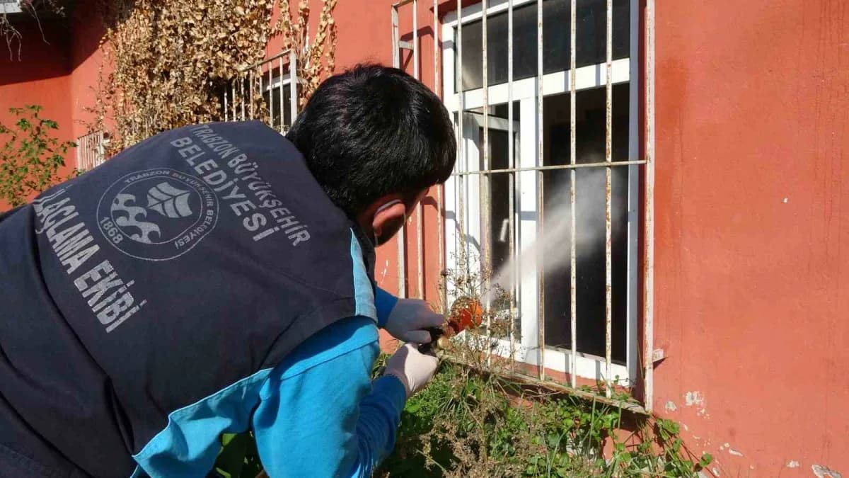 Geçmiş yıllara göre kokarca popülasyonunda belirgin azalma yaşanan kentte, bu yıl fındıkta meydana g
