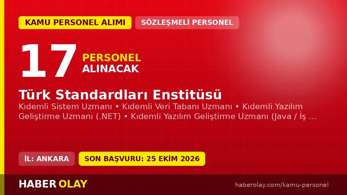 Türk Standardları Enstitüsü 17 sözleşmeli bilişim personeli alımı ilanı