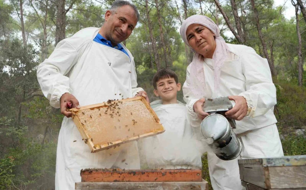 Mersinli arıcılar, Muğlalı aracılılarla birlikte üretilen balın hasadına ise bugünlerde başladı. Büyük kısmı Eğe' de üre