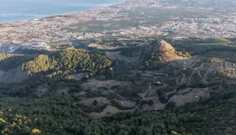 Dünya'da çam balının yüzde 90'ının üretildiği Türkiye'de Mersinli arıcılar, Muğla başta olmak üzere Eğe ve Akdeniz'de or